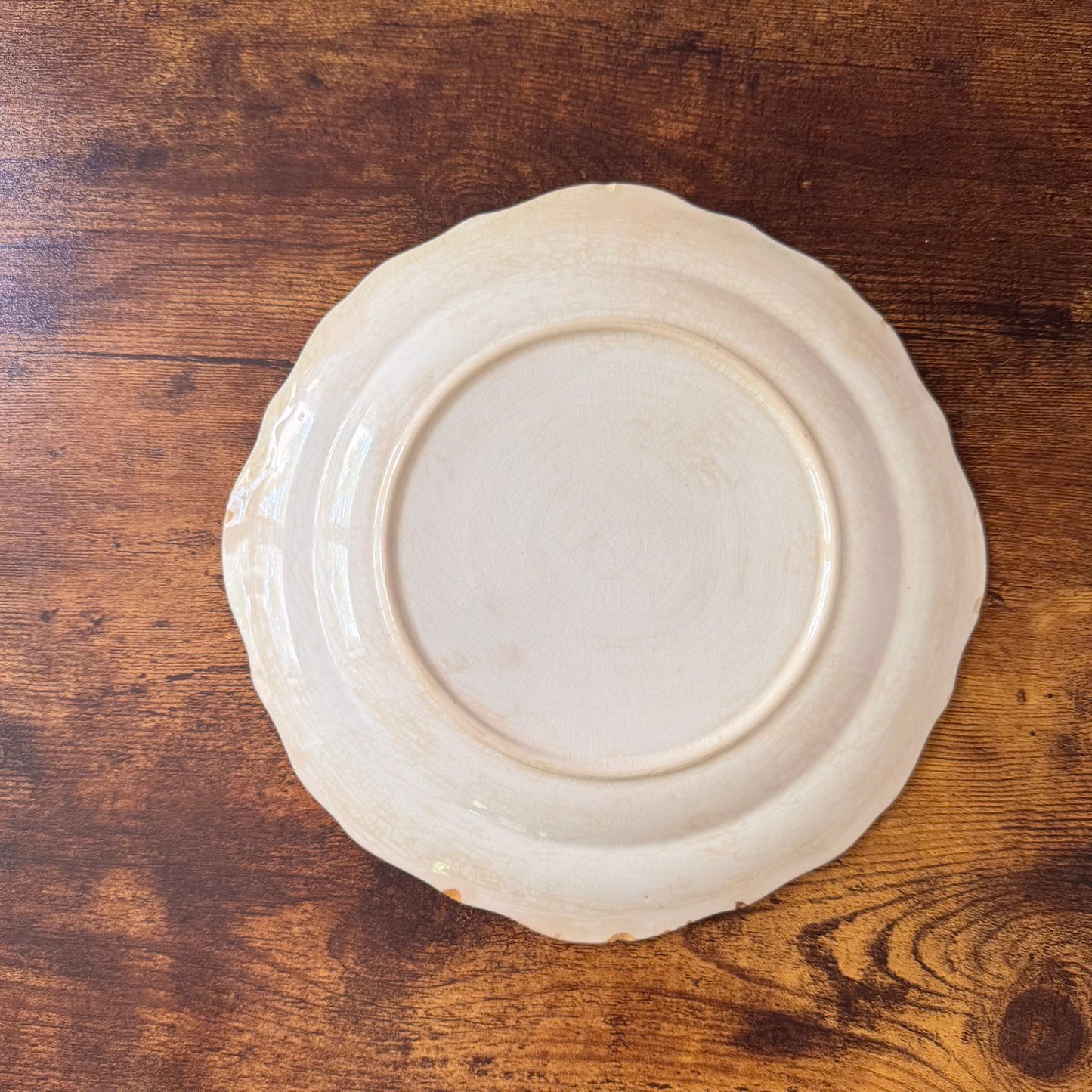 Antique Dinner Plate | Green Floral Border | Textured Scalloped Rim