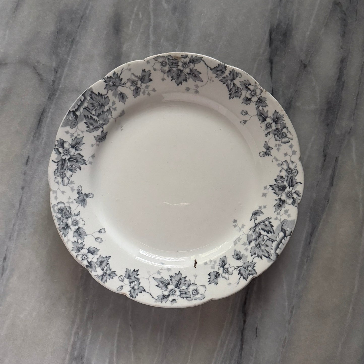 Antique John Maddock & Sons Plates | Royal Vitreous Blue Floral Transferware | Set of 2