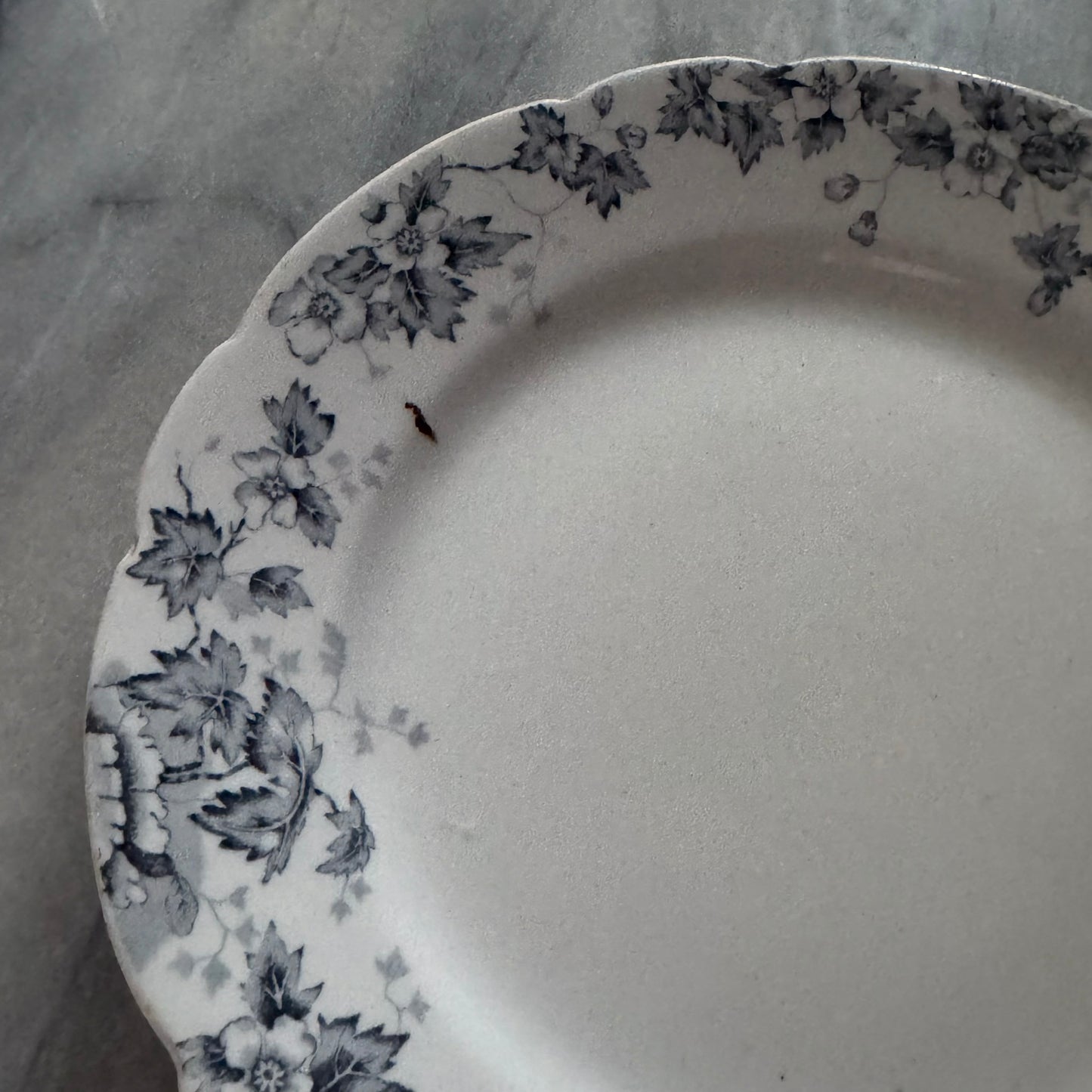 Antique John Maddock & Sons Plates | Royal Vitreous Blue Floral Transferware | Set of 2