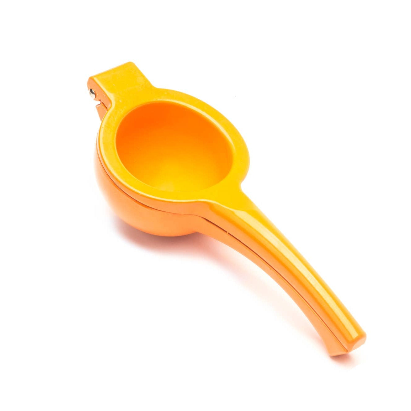 Large Juicer
