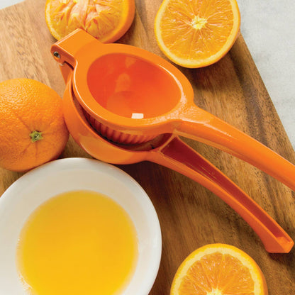 Large Juicer