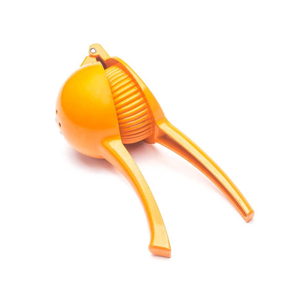 Large Juicer